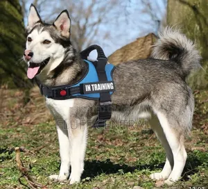 Heavy Duty Dog Harness With Silicone Handle L. (0063H)