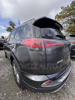 Toyota RAV4 2018 Gray