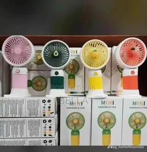 Rechargeable Fan