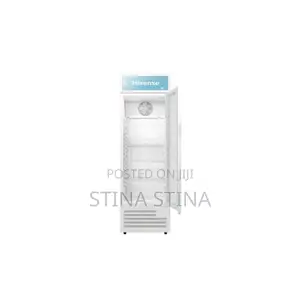 Hisense 251 Chiller