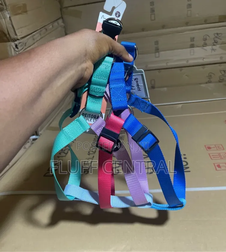Mimo Nylon Harness 2.5cm