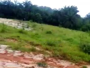 200 Plots for Sale in Bende LGA Abia State