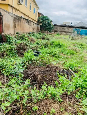 Full Plot of an Empty Land