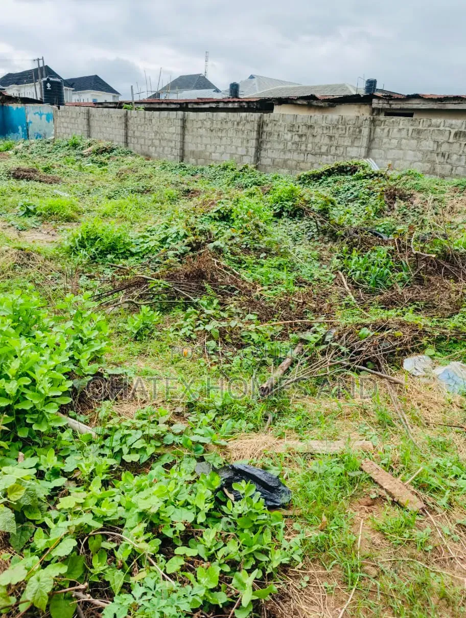 Full Plot of an Empty Land