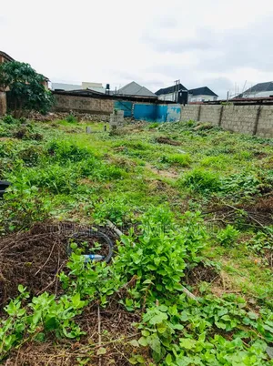 Full Plot of an Empty Land