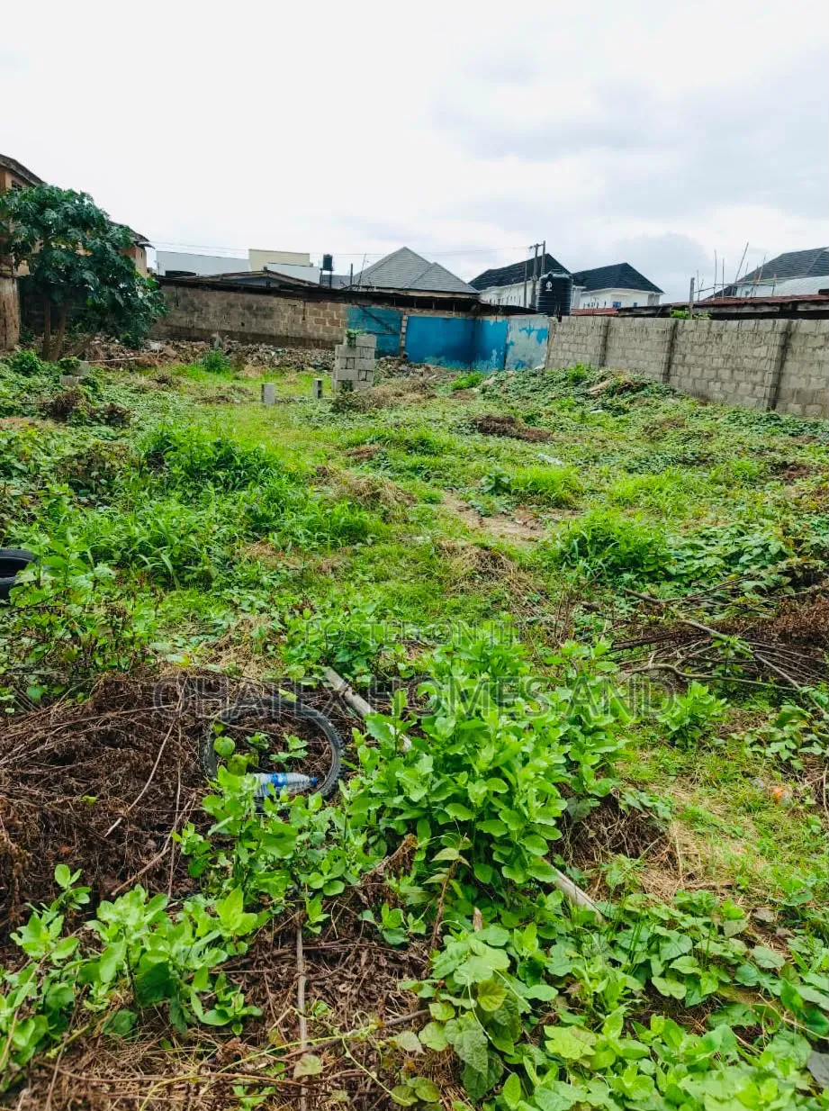 Full Plot of an Empty Land