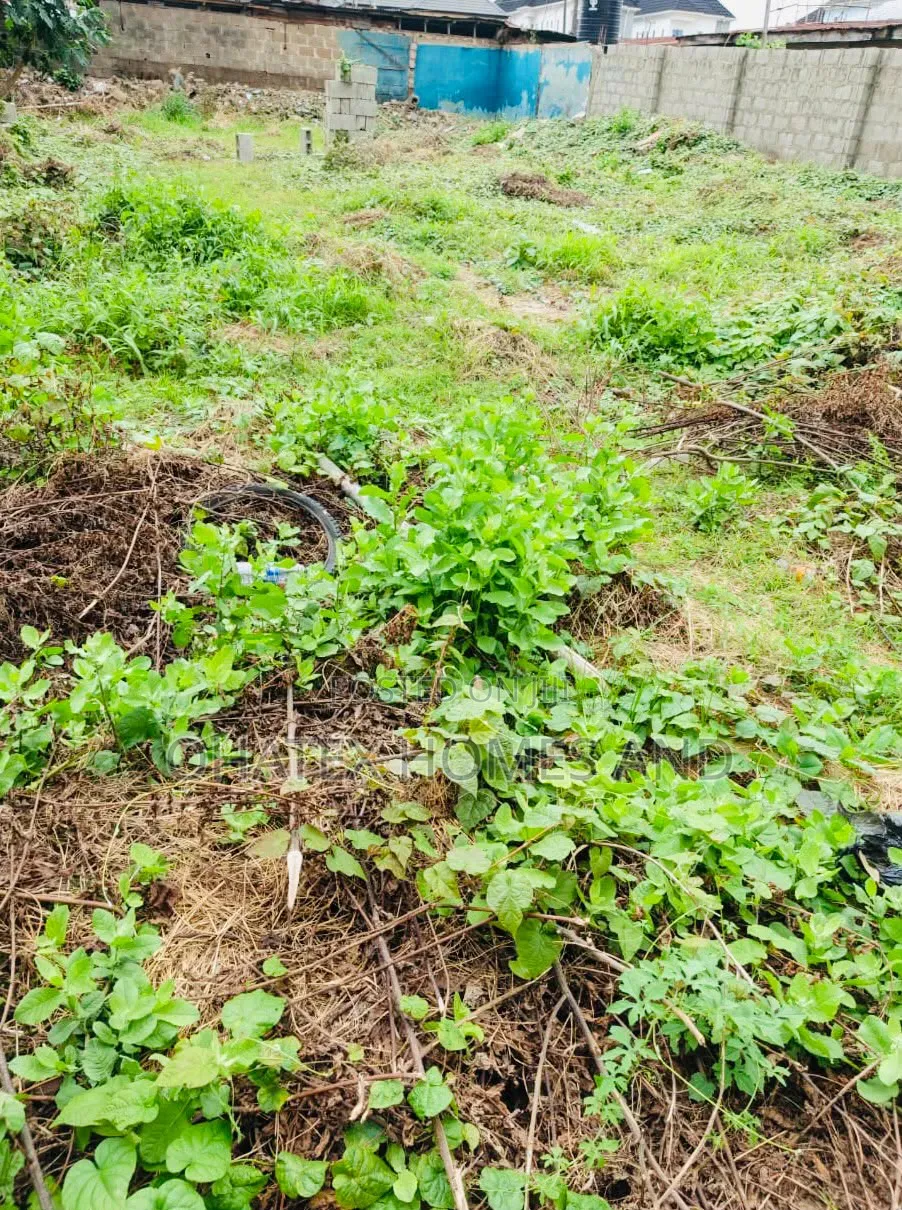 Full Plot of an Empty Land