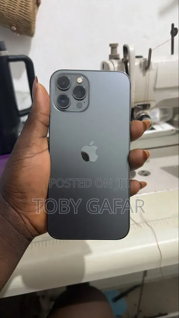 Apple iPhone 12 Pro Max 256 GB Gray