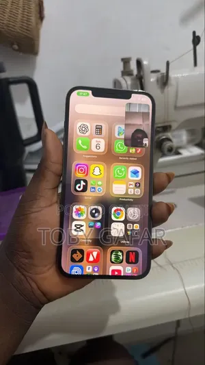 Apple iPhone 12 Pro Max 256 GB Gray