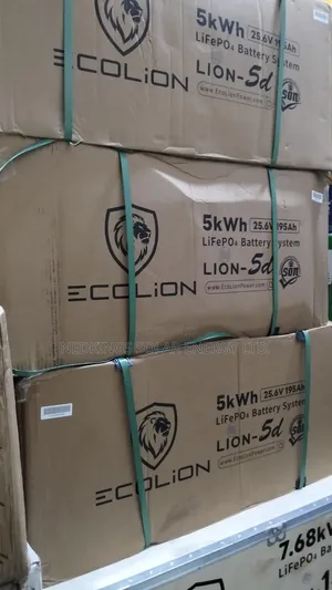 Ecolion 5kwh 24V Lithium Battery