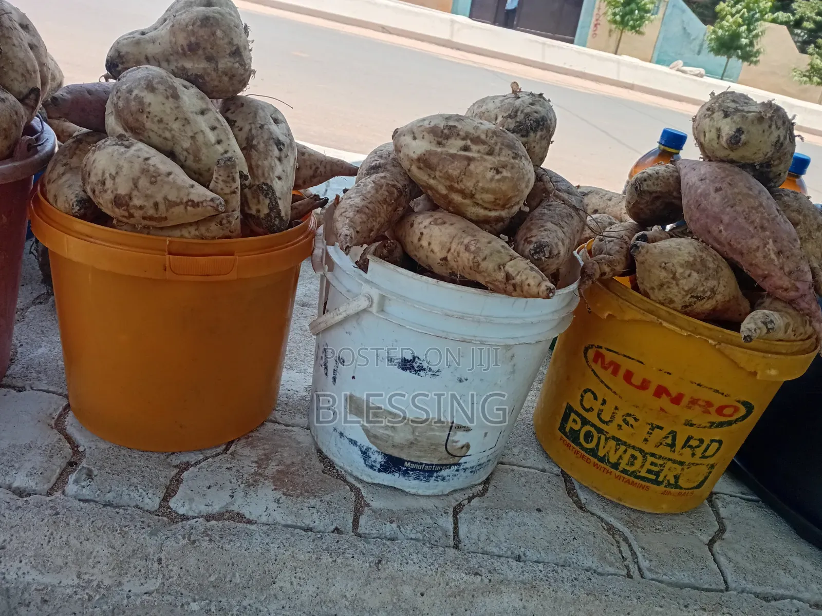 Yam Potatoes