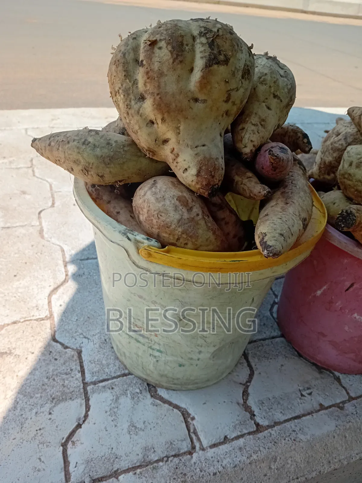 Yam Potatoes
