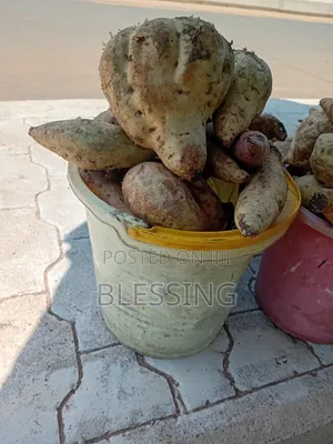 Yam Potatoes