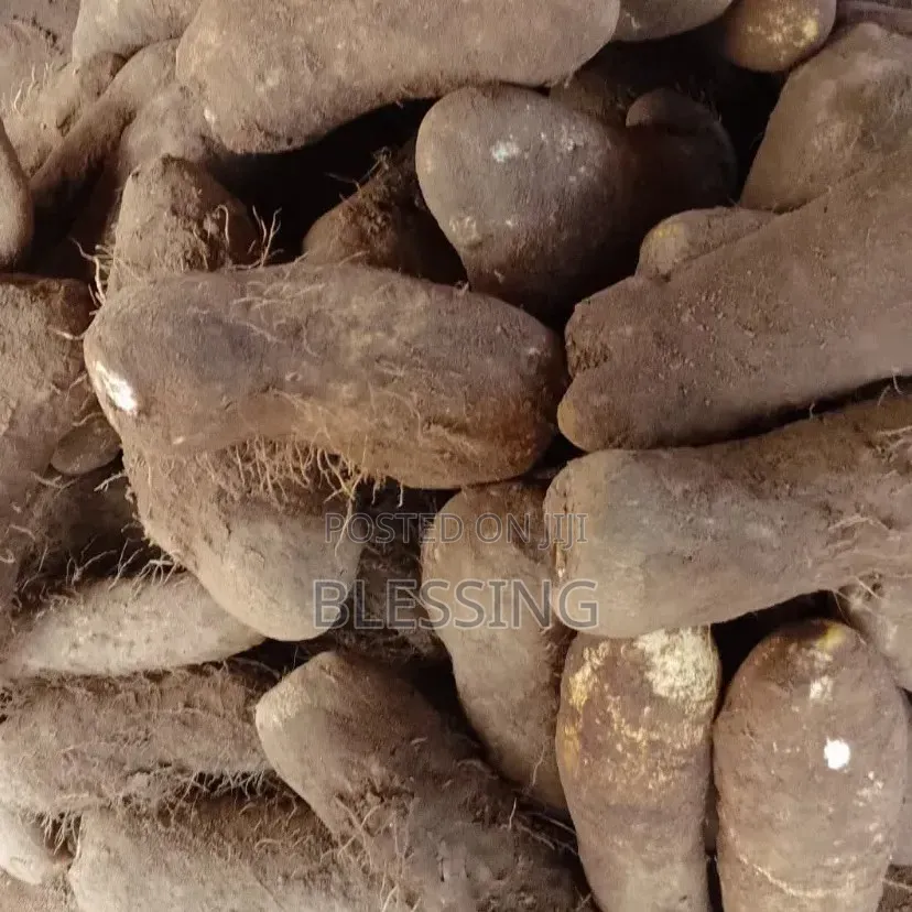 Yam Potatoes