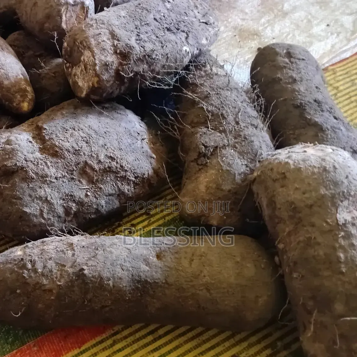 Yam Potatoes
