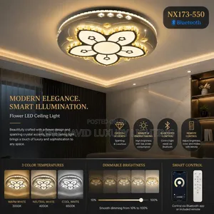 Flower LED Ceiling Light