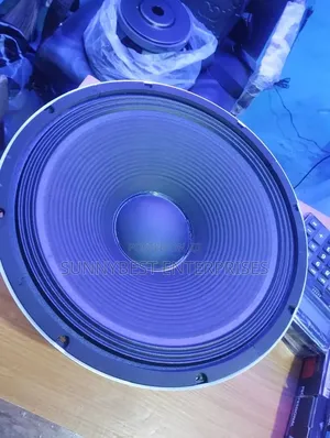 15 Inches Naked Speaker Single Magnet