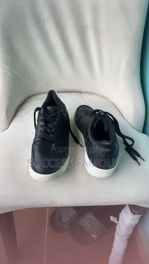 Authentic Shoe Only