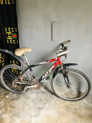 A Fairly Used Bicycle