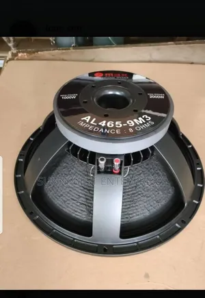 18 Inches Naked Speaker Omax