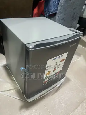 Skyrun BCD-50HW 48L Mini Refrigerator