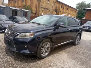 Lexus RX 2013 Blue