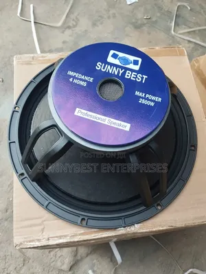 15 Inches Naked Speaker Single Magnet