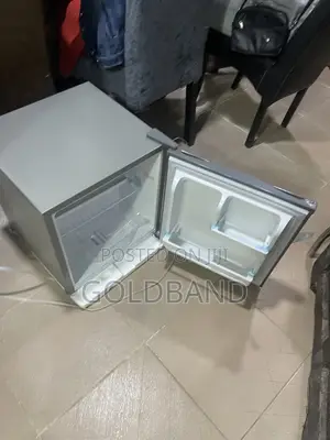 Skyrun 48L Portable-Size Bedside Refrigerator