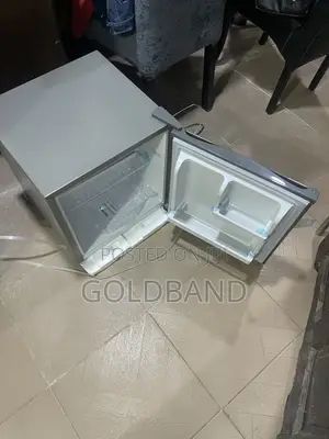 Skyrun 48L Portable-Size Bedside Refrigerator