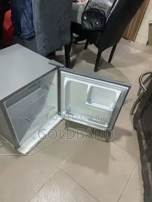 Skyrun BCD-50HW 48L Personal Refrigerator
