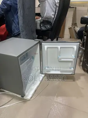 Skyrun 48L Bedroom Mini Fridge BCD-50HW
