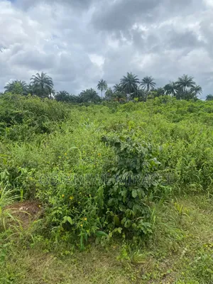 I Plot of Land