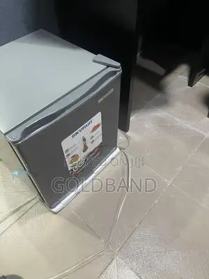 Skyrun 48L Mini Fridge for Bedroom Office
