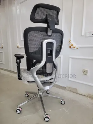 Ergonomic Office Chair
