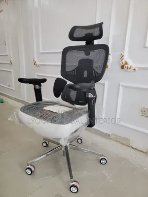Ergonomic Office Chair