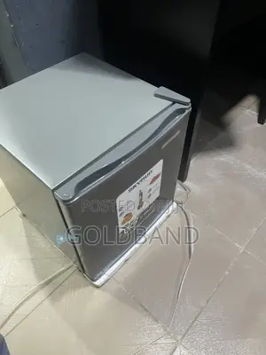 Skyrun BCD-50HW 48L Everyday Use Refrigerator