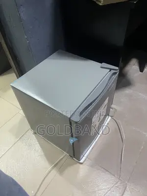 Skyrun 48L Compact Personal Cooling Fridge