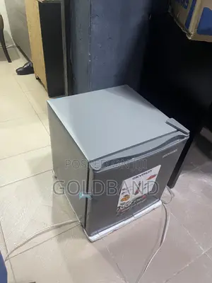 Skyrun 48L Compact Personal Cooling Fridge