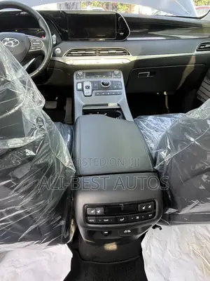 Hyundai Palisade 2020 Black