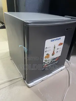 Skyrun 48L Sleek Compact Refrigerator