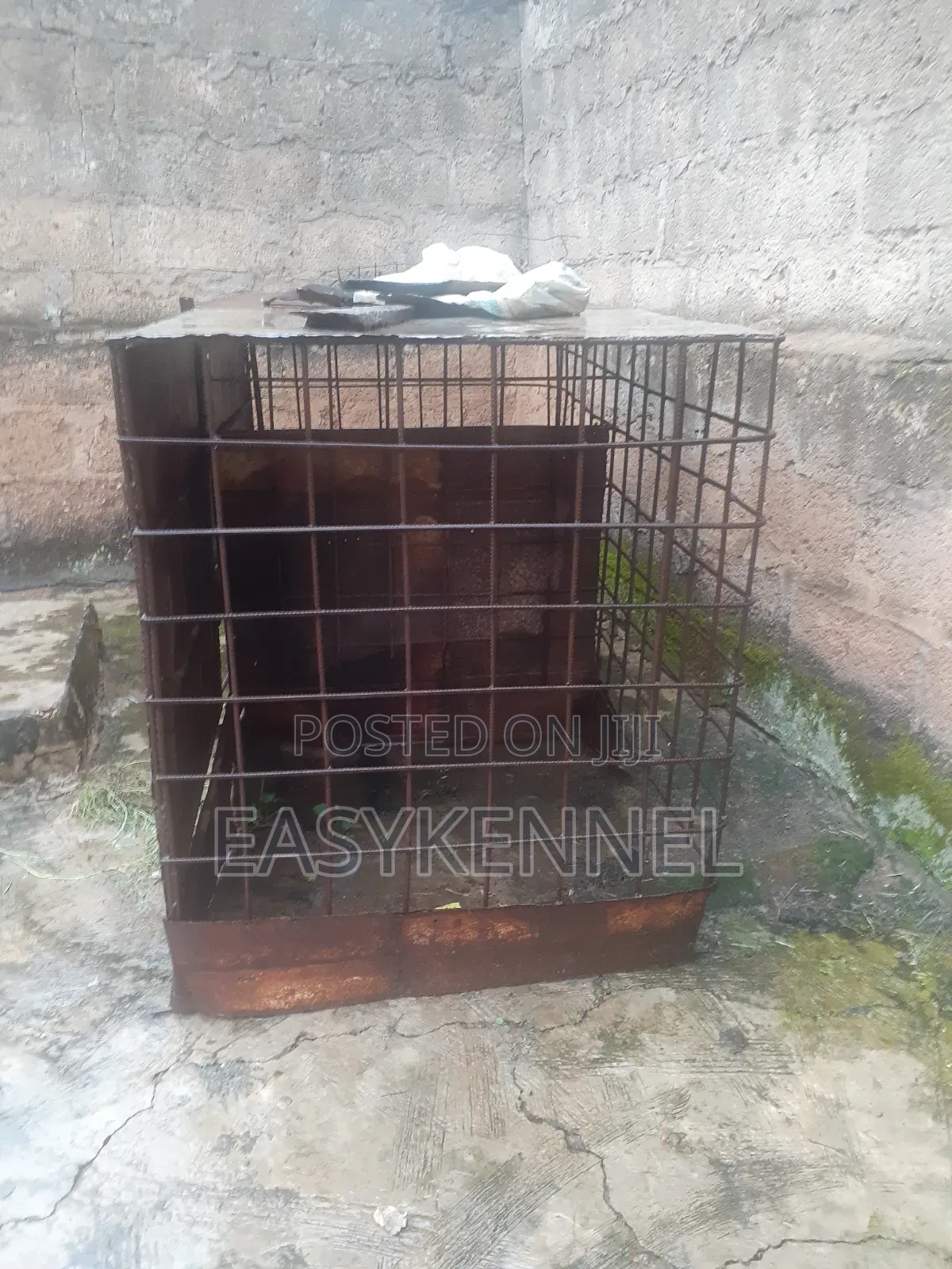 Dog Cage for Sale