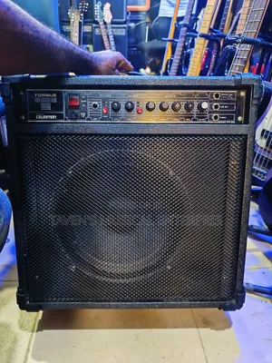 Torque 50 Watts Combo Amplifier
