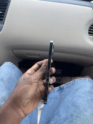 Apple iPhone 13 Pro Max 128 GB Green