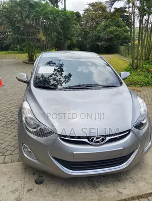 Hyundai Elantra 2014 Gray