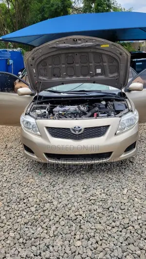 Toyota Corolla 2010 Gold