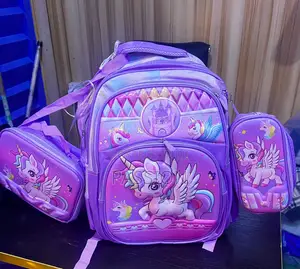 3 in 1 School Bag
