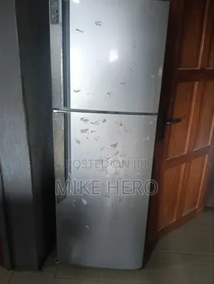 Standing Fridge