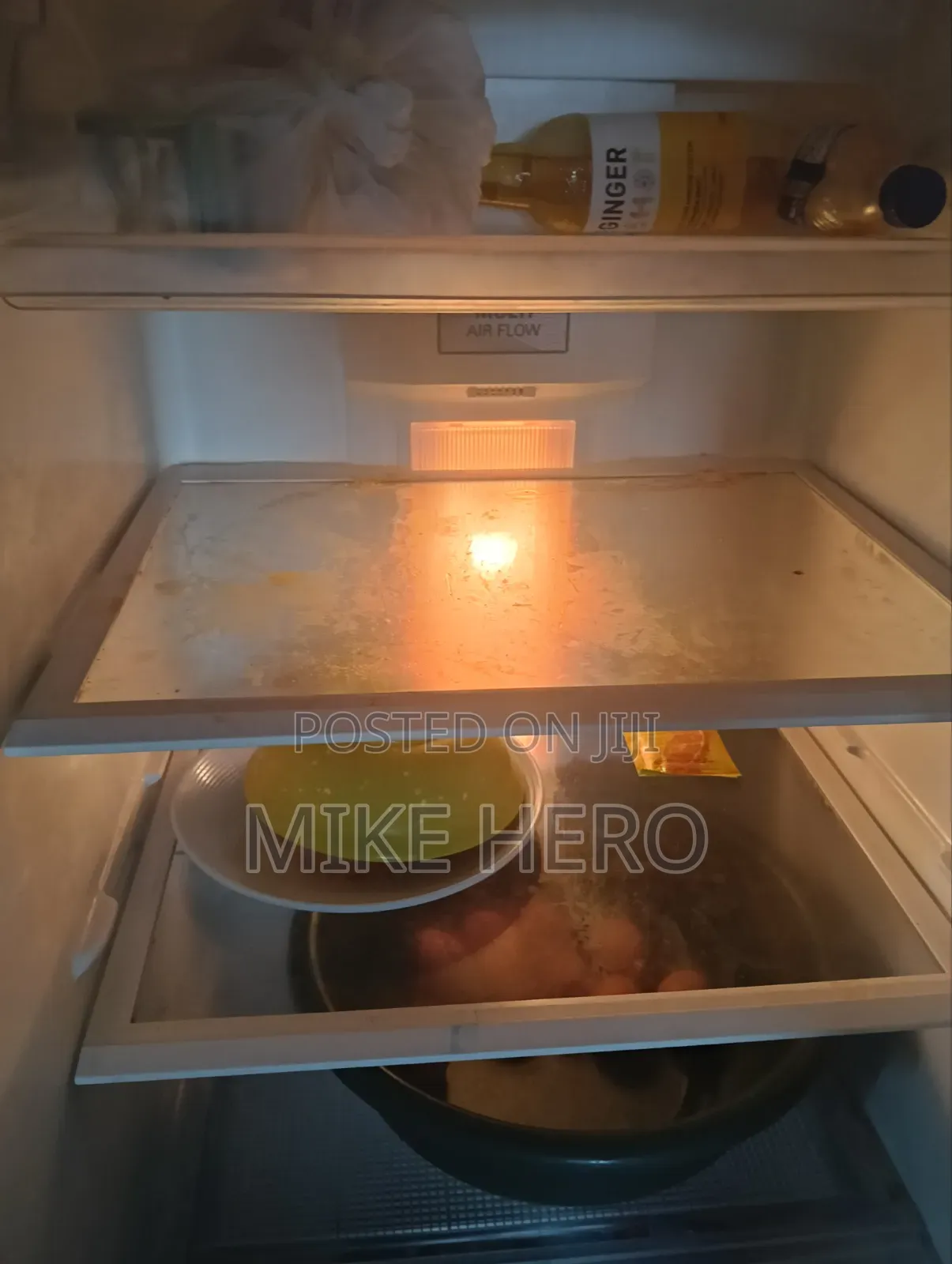 Standing Fridge