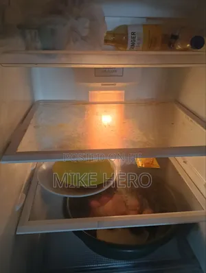 Standing Fridge