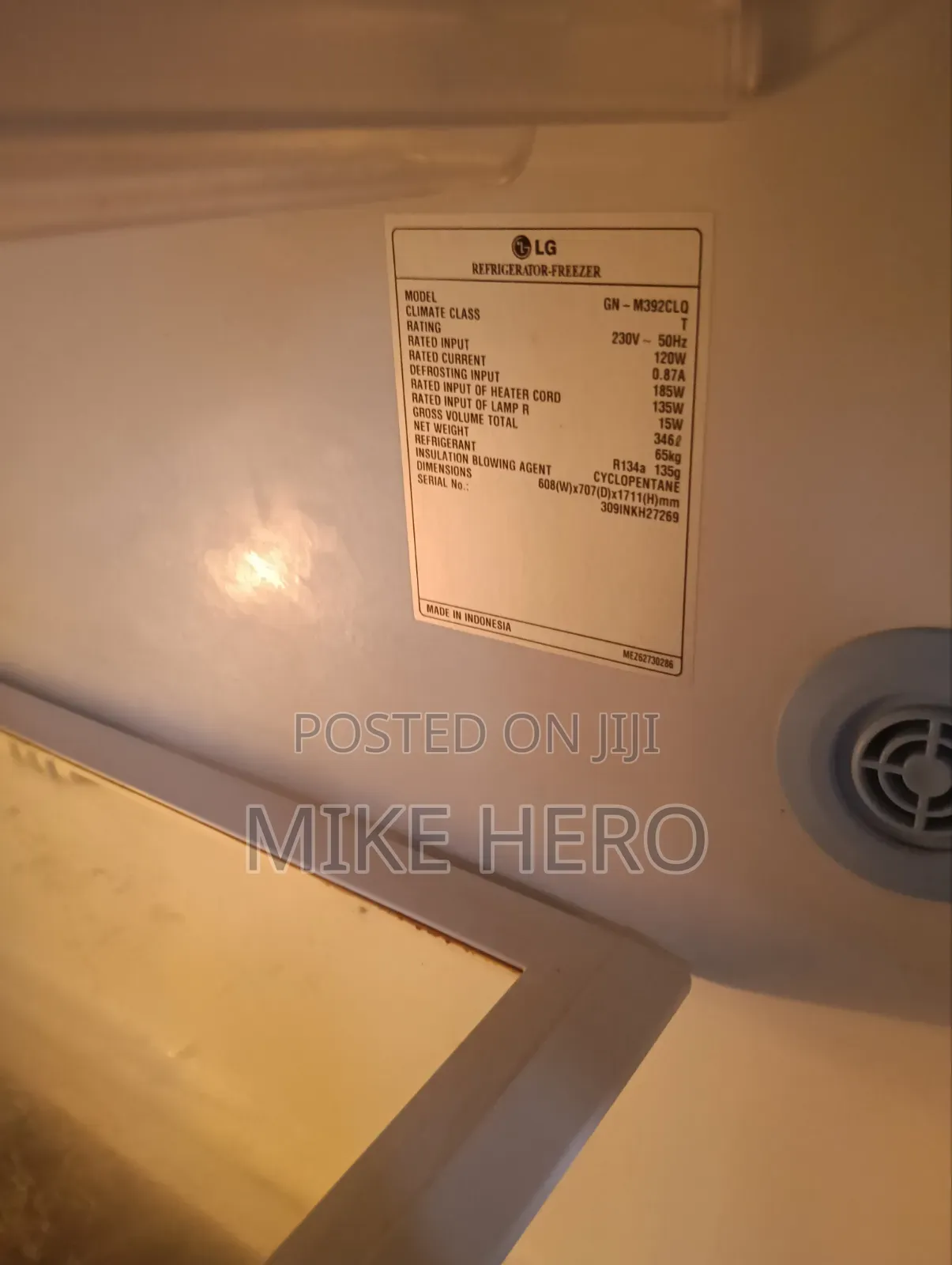 Standing Fridge